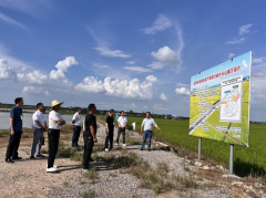 牛头山镇：调研“从田间到餐桌” 守护“舌尖上